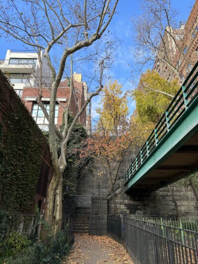 Peter Detmold Dog Run - New York, NY