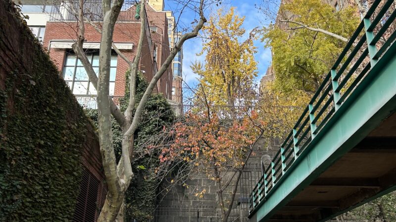 Peter Detmold Dog Run - New York, NY