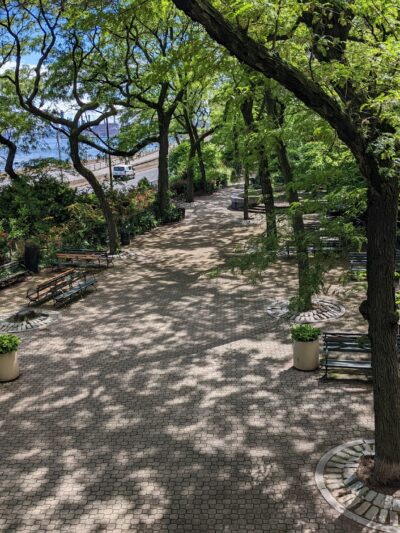 Peter Detmold Dog Run - New York, NY