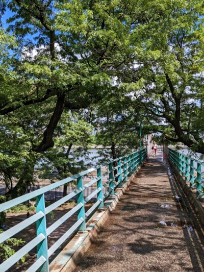 Peter Detmold Dog Run - New York, NY