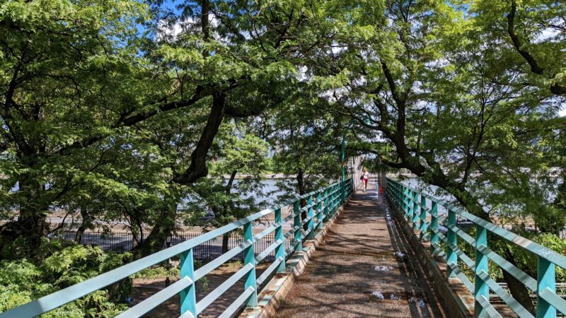 Peter Detmold Dog Run - New York, NY