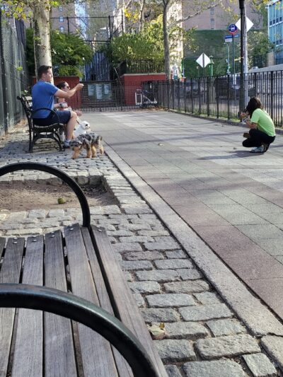 Robert Moses Dog Run - New York, NY