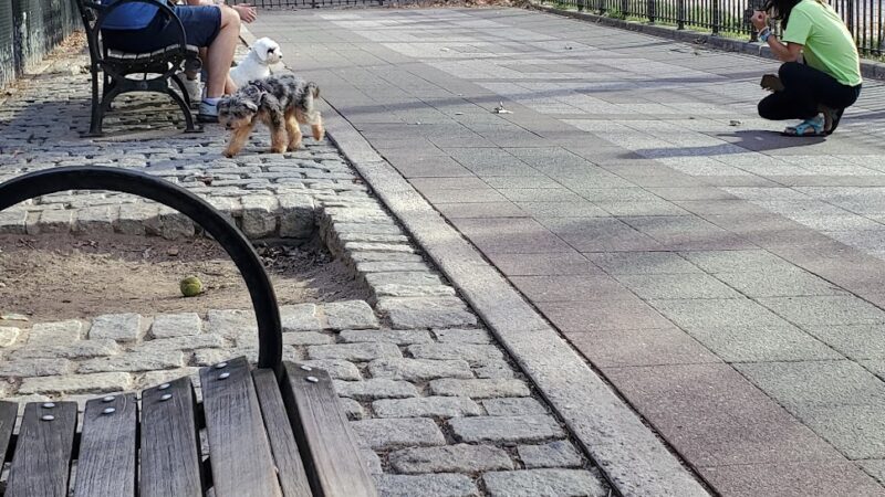 Robert Moses Dog Run - New York, NY