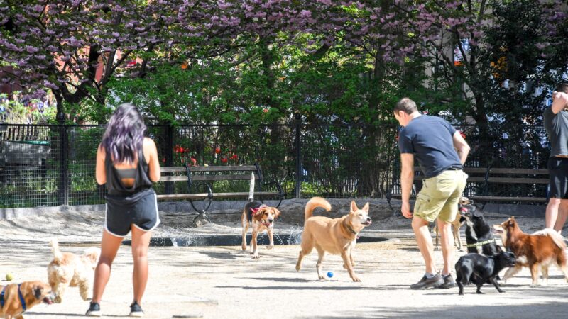 Robin Kovary Dog Run for Small Dogs - New York, NY