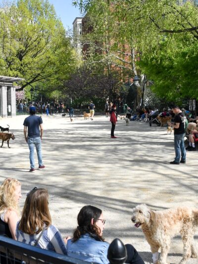 Robin Kovary Dog Run for Small Dogs - New York, NY
