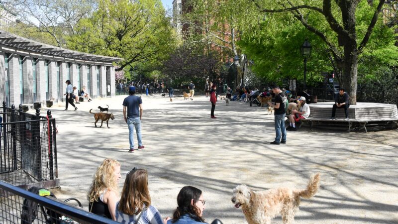 Robin Kovary Dog Run for Small Dogs - New York, NY