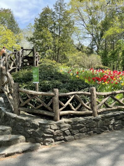 Shakespeare Garden - New York, NY