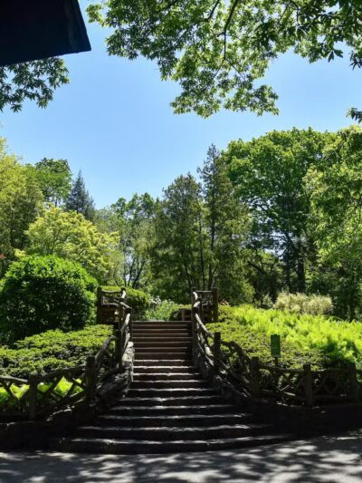 Shakespeare Garden - New York, NY