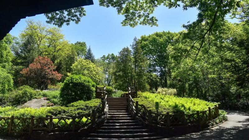 Shakespeare Garden - New York, NY