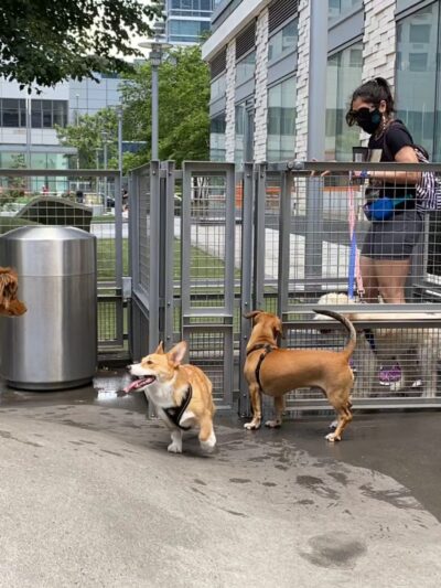 Silver Towers Public Park - New York, NY
