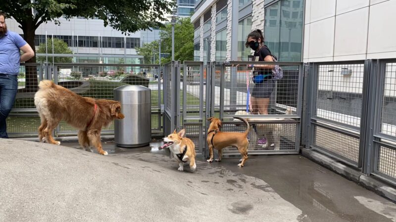 Silver Towers Public Park - New York, NY