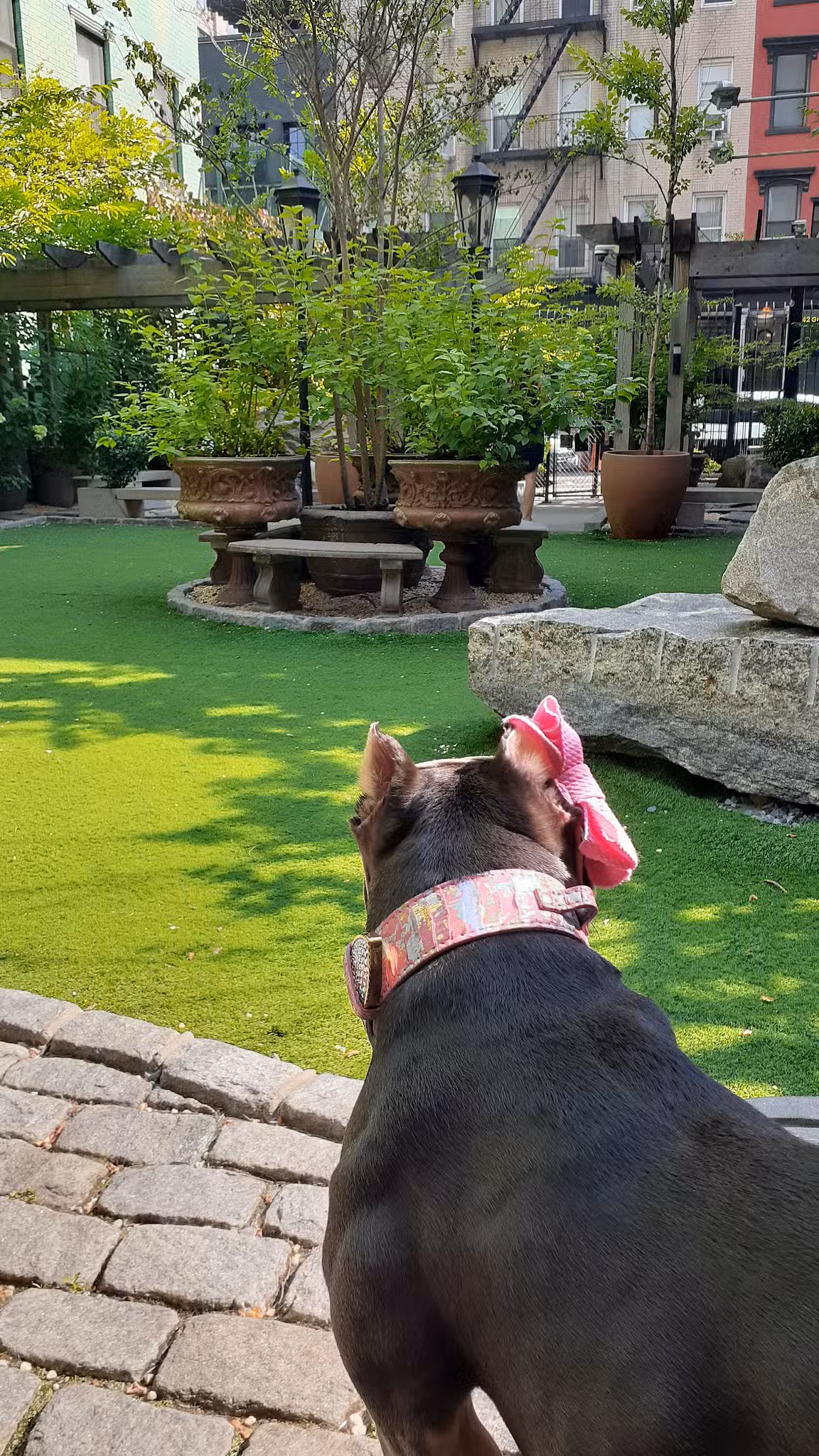 Soho Grand Private Dog Park - New York, NY