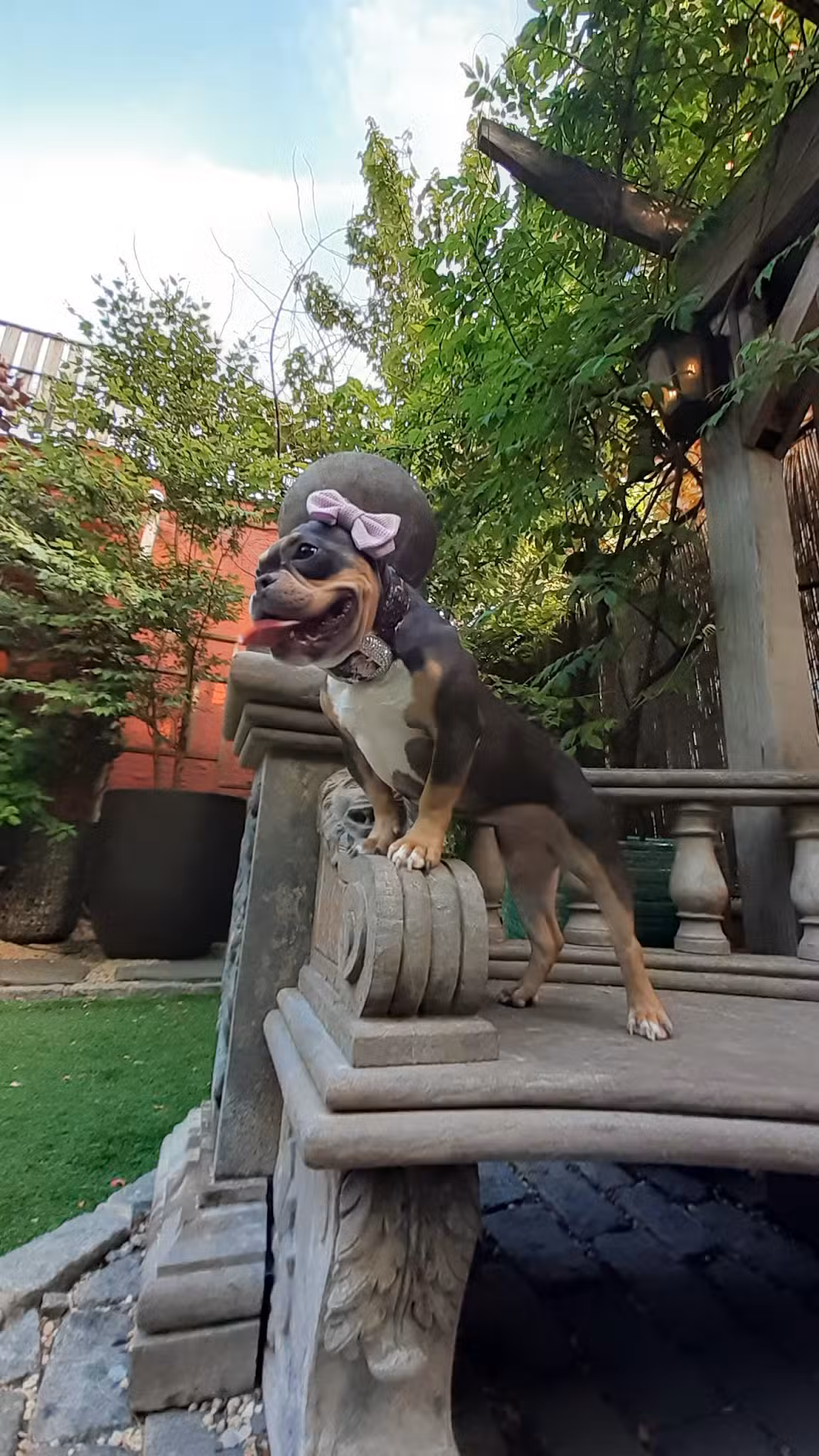 Soho Grand Private Dog Park - New York, NY