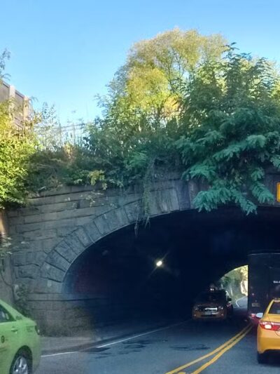 Stroller Strides NYC :: Central Park (UES) - New York, NY