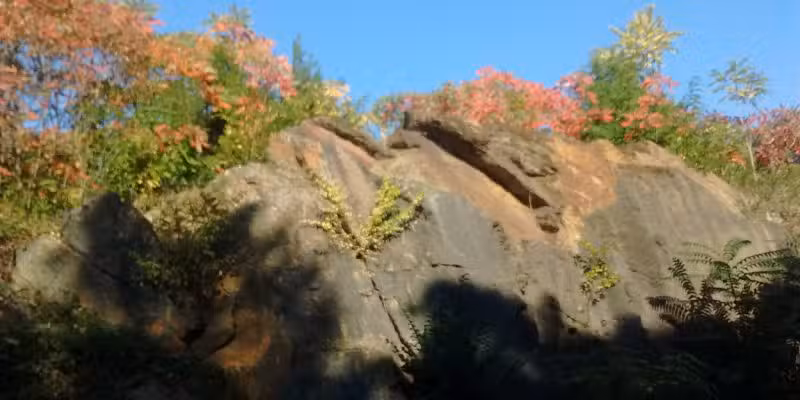 Stroller Strides NYC :: Central Park (UES) - New York, NY