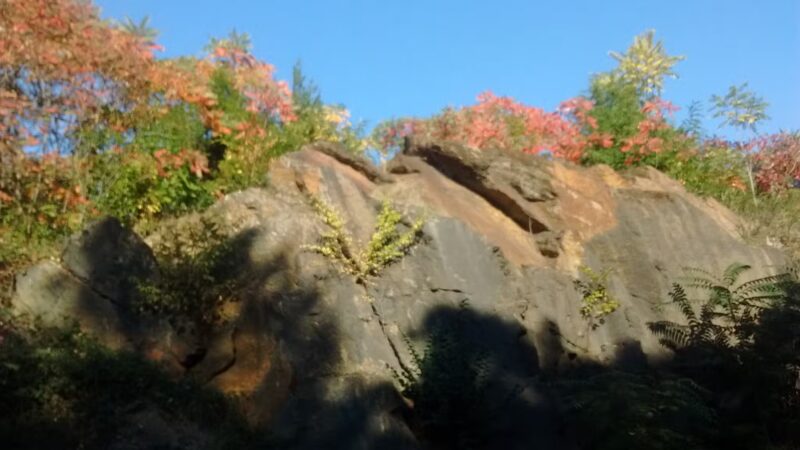 Stroller Strides NYC :: Central Park (UES) - New York, NY