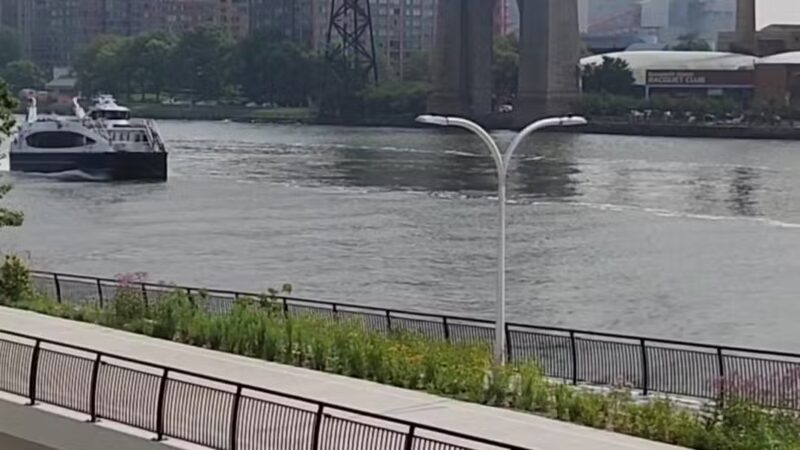 Sutton Parks - New York, NY