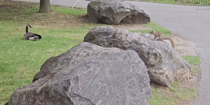 Sutton Place Park South - New York, NY