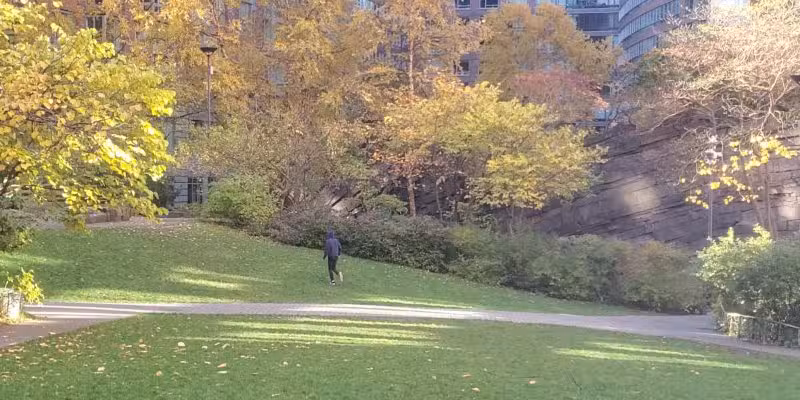 Teardrop Park - New York, NY