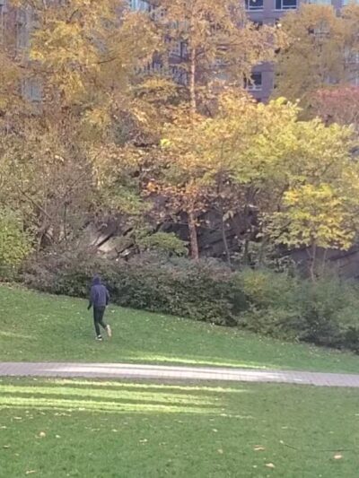 Teardrop Park - New York, NY