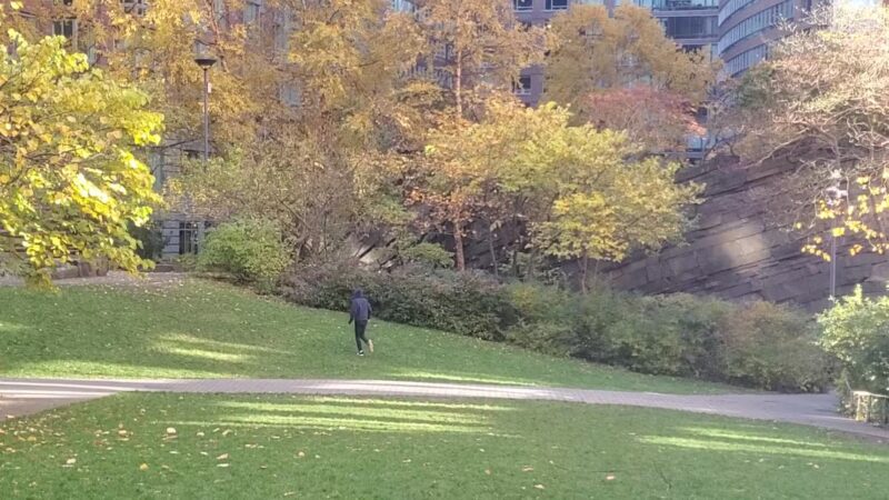 Teardrop Park - New York, NY