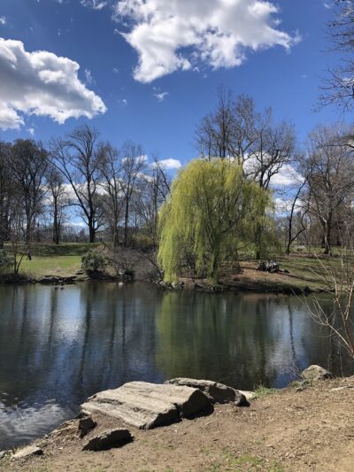 The Loch - New York, NY