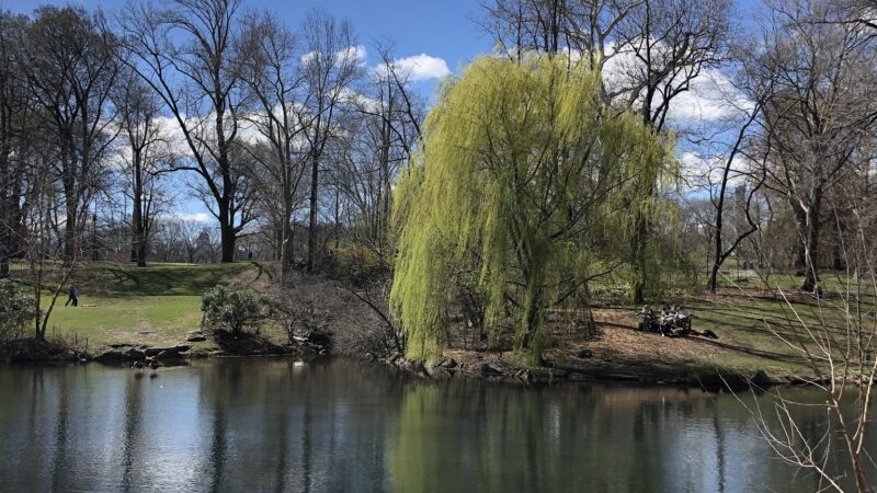 The Loch - New York, NY