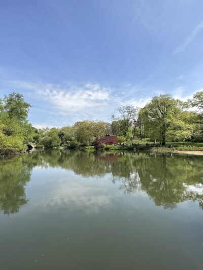 The Pond at Central Park - New York, NY