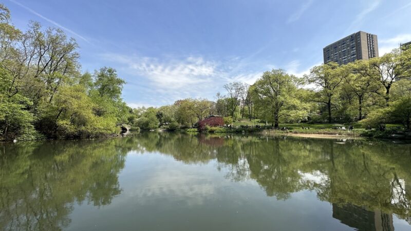 The Pond at Central Park - New York, NY