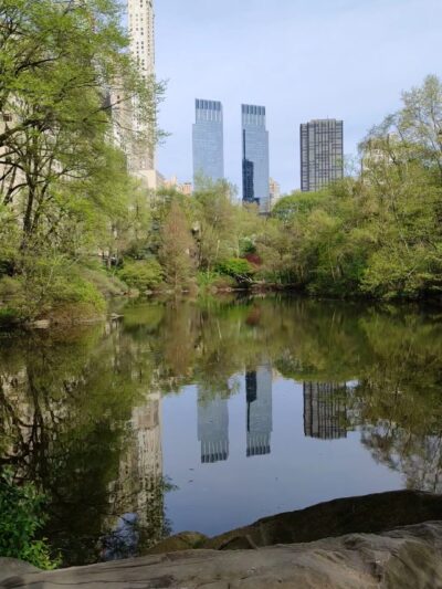 The Pond at Central Park - New York, NY