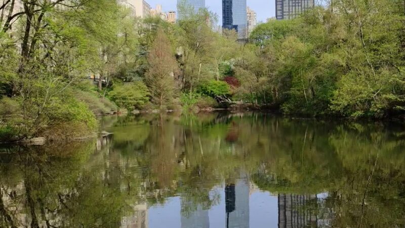 The Pond at Central Park - New York, NY