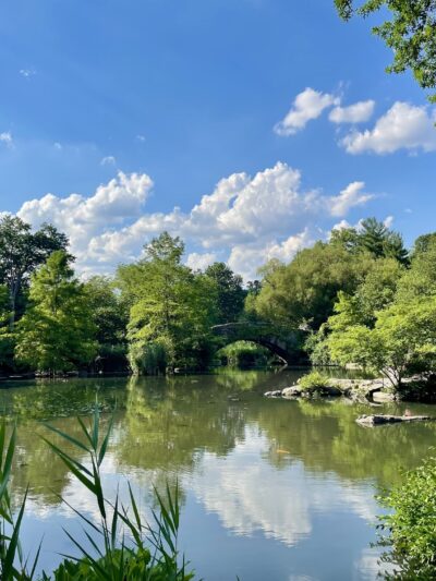 The Pond at Central Park - New York, NY