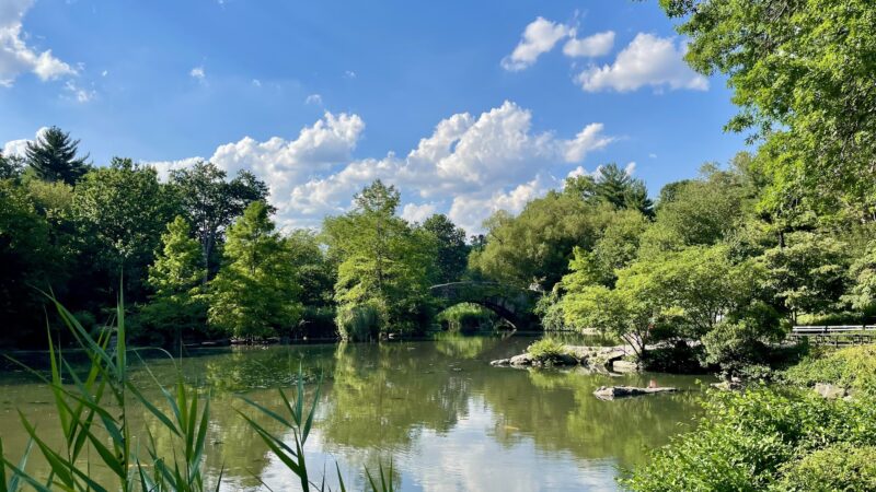 The Pond at Central Park - New York, NY