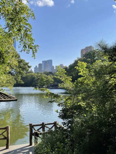 The Ramble - New York, NY