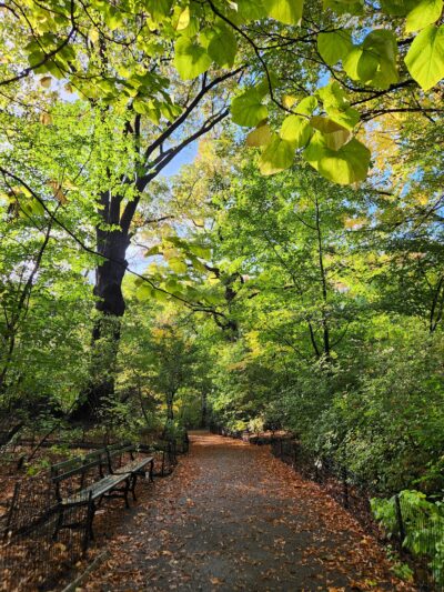 The Ramble - New York, NY