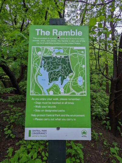 The Ramble - New York, NY