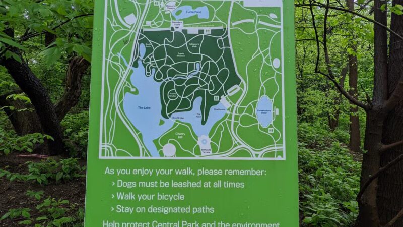 The Ramble - New York, NY