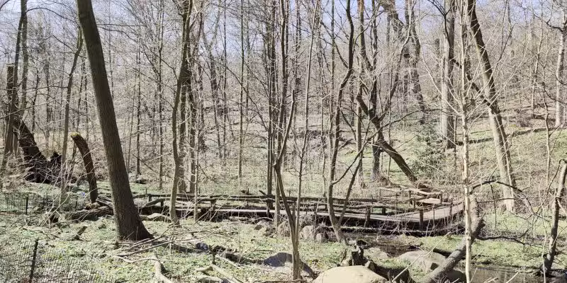 The Ravine (Waterfall) - New York, NY