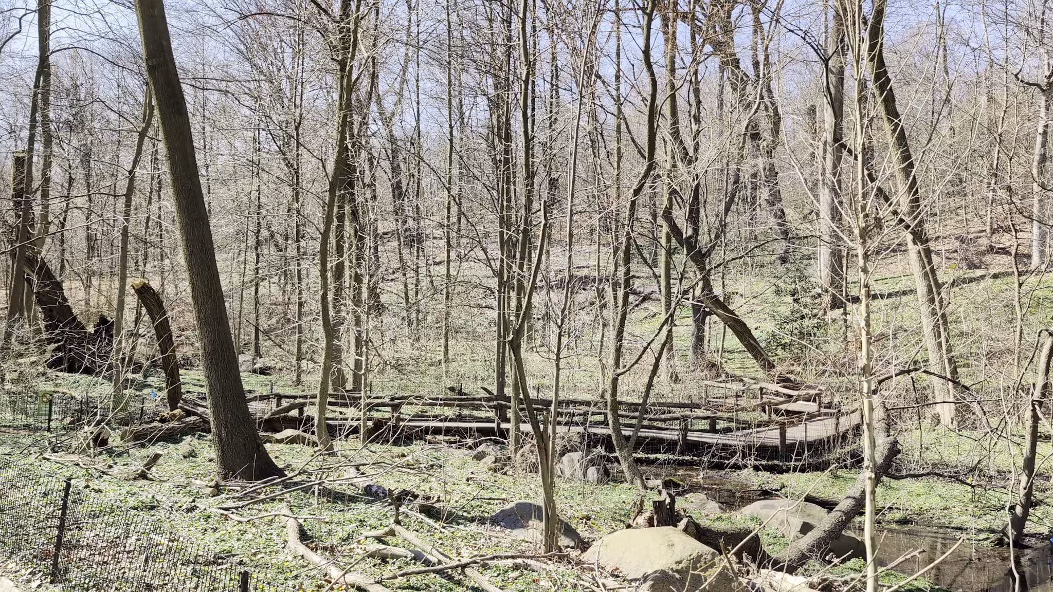 The Ravine (Waterfall) - New York, NY