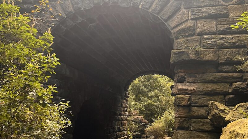 The Ravine (Waterfall) - New York, NY