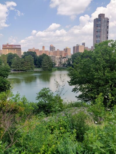 The Ravine (Waterfall) - New York, NY