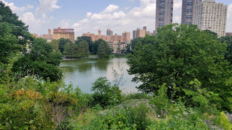 The Ravine (Waterfall) - New York, NY