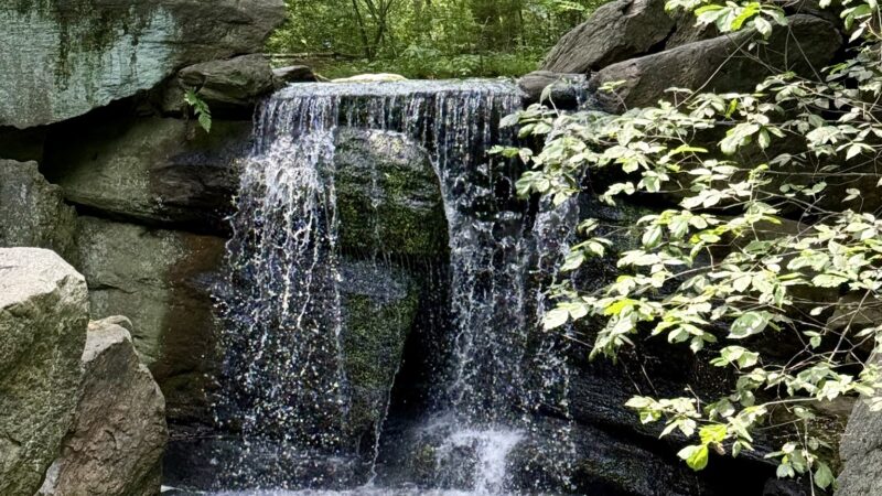 The Ravine (Waterfall) - New York, NY