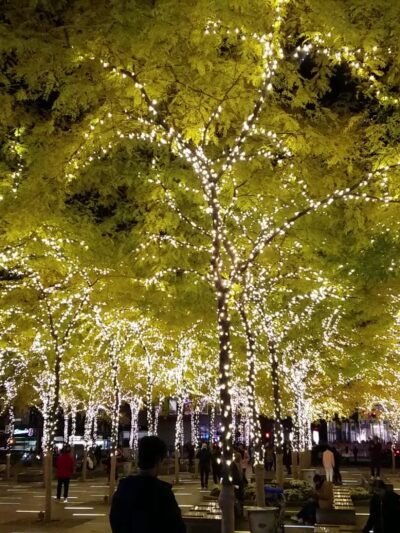Zuccotti Park - New York, NY