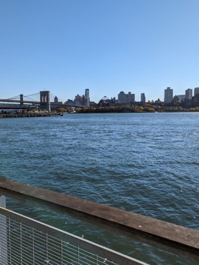 Dog Park East River Esplanade South - New York, NY