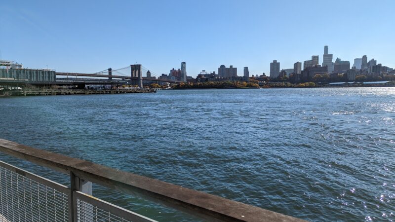 Dog Park East River Esplanade South - New York, NY