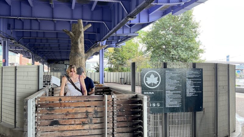 Dog Park East River Esplanade South - New York, NY