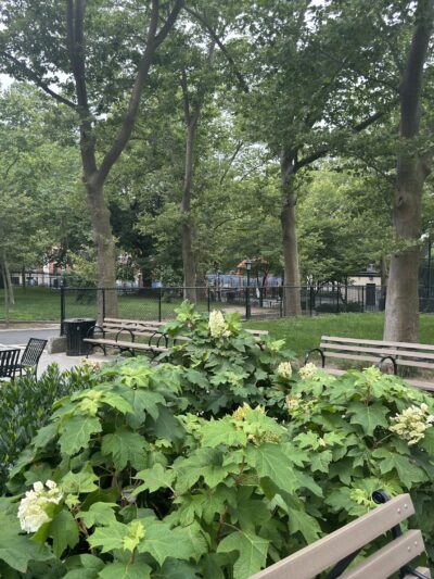 Jacob H. Schiff Playground - New York, NY