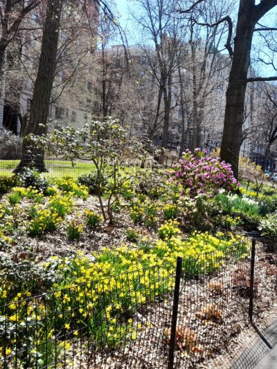 Joan of Arc Park - New York, NY