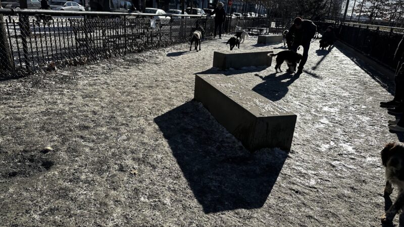 Riverside Park South Dog Run at 66th Street - New York, NY